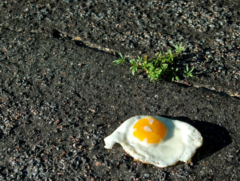 QIP Shot - Screen 2479.png